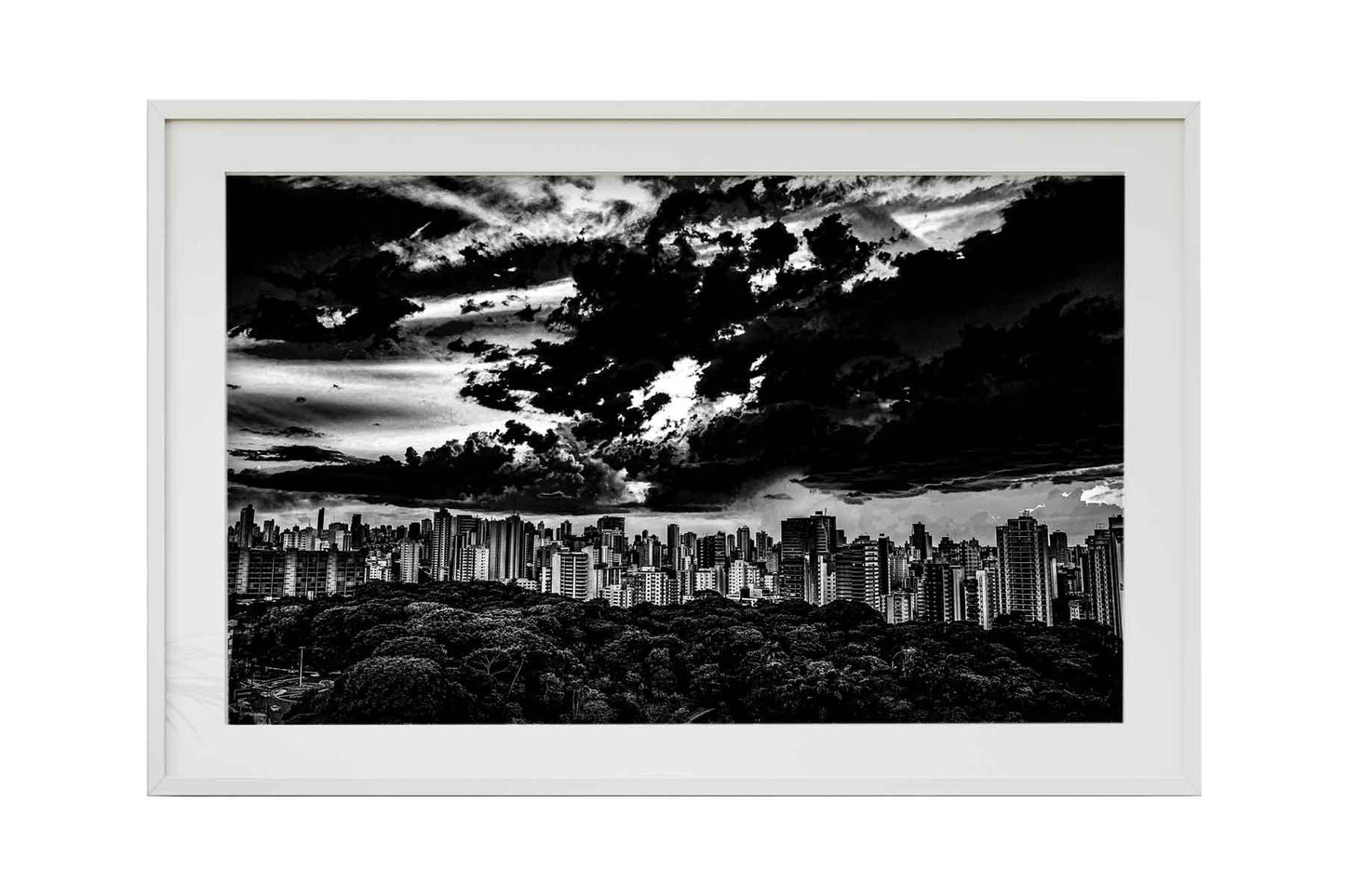 Goiânia - Bosque dos Buritis 01
