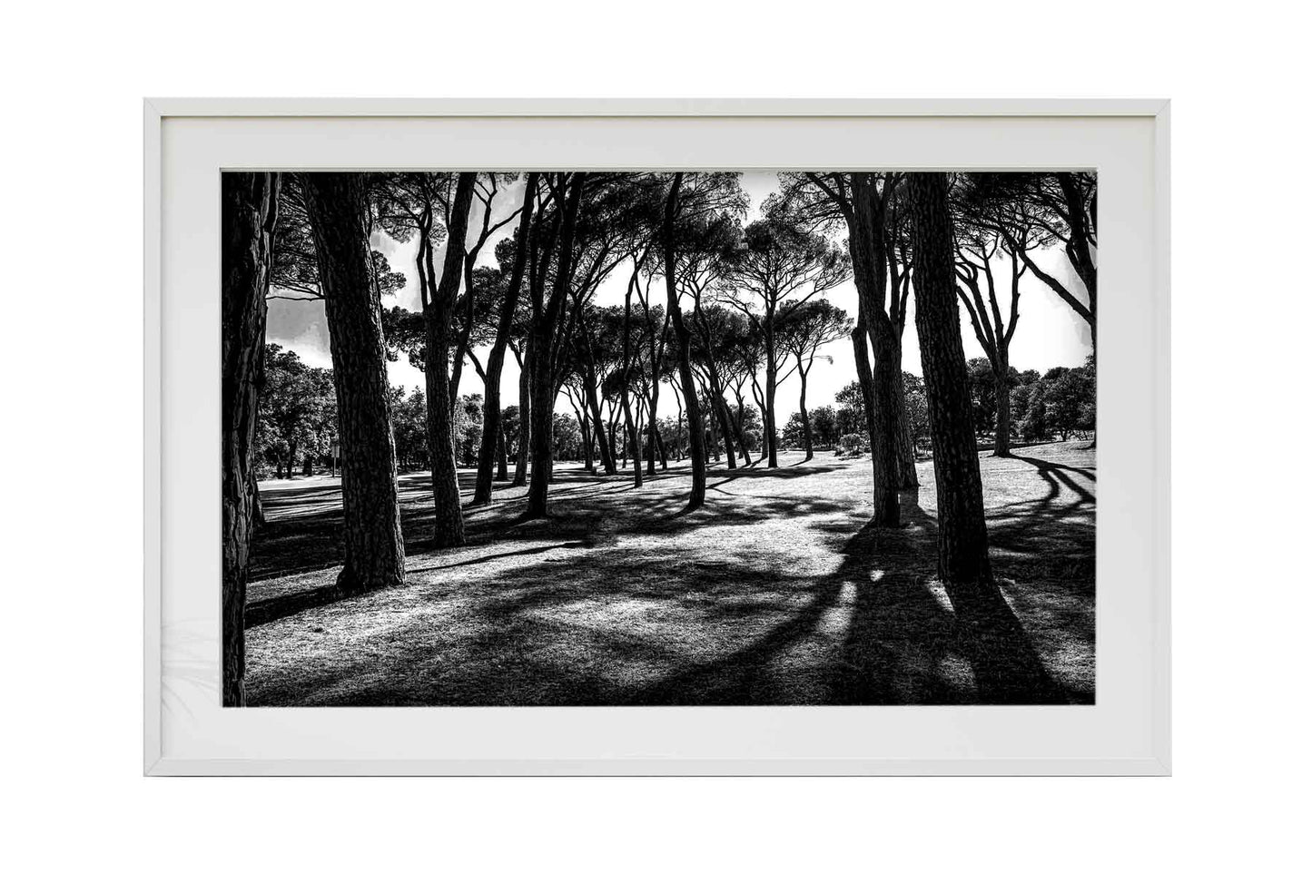 Madrid - Casa de Campo