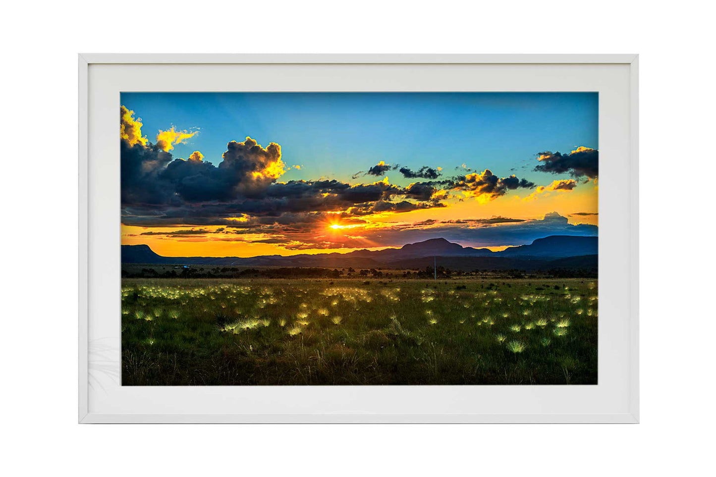 Chapada dos Veadeiros - Campo do Chuveirinho 01