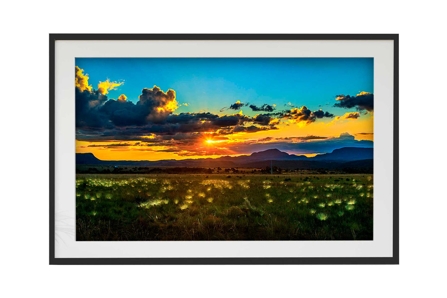 Chapada dos Veadeiros - Campo do Chuveirinho 01