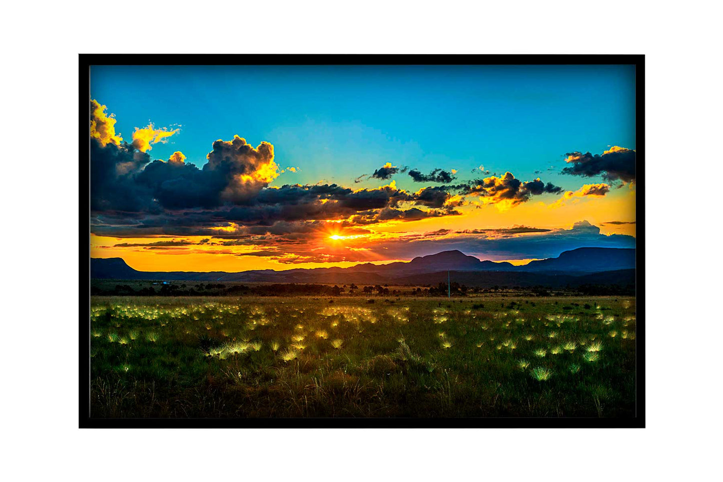 Chapada dos Veadeiros - Campo do Chuveirinho 01