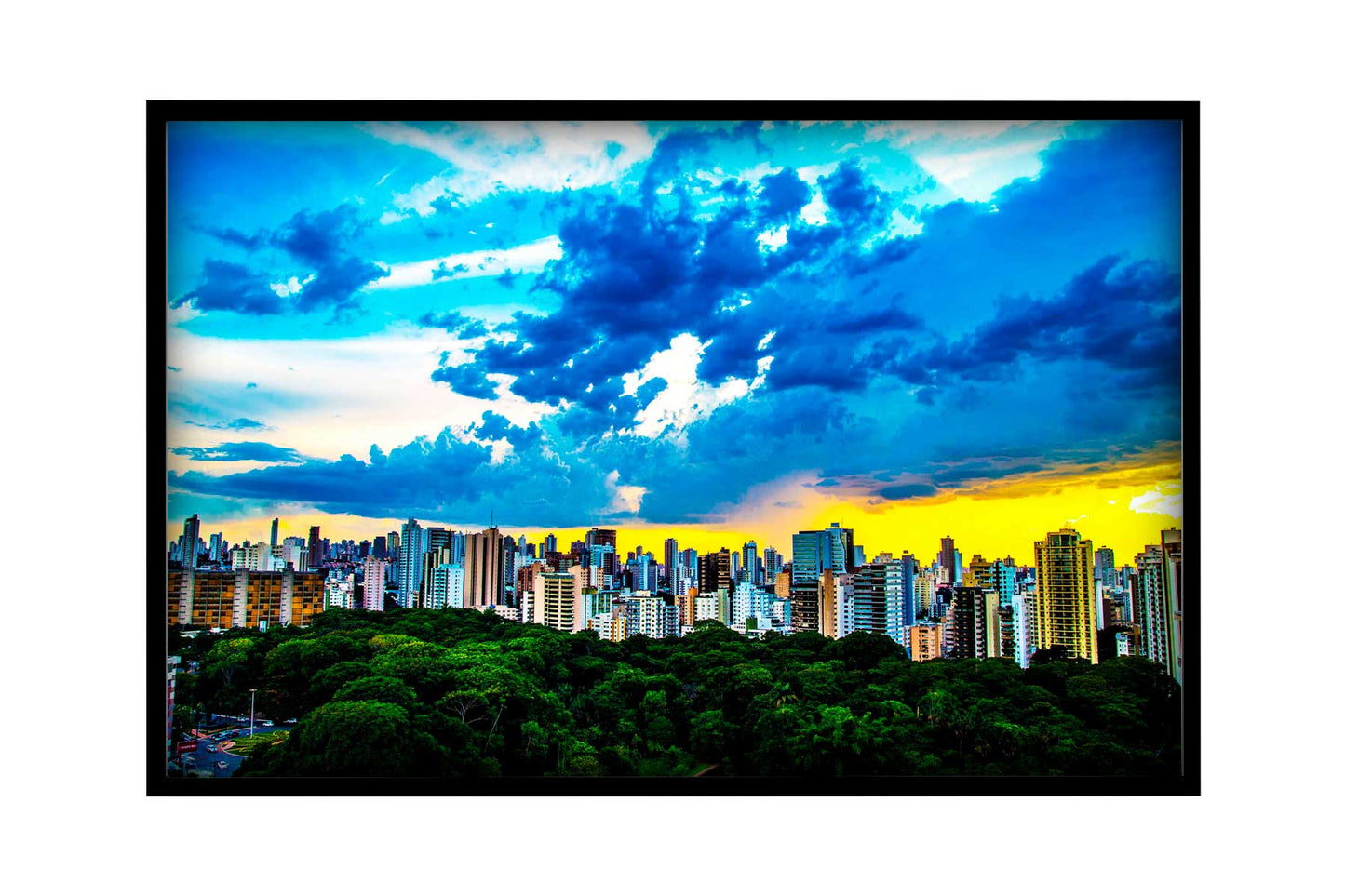 Goiania - Bosque dos Buritis 01