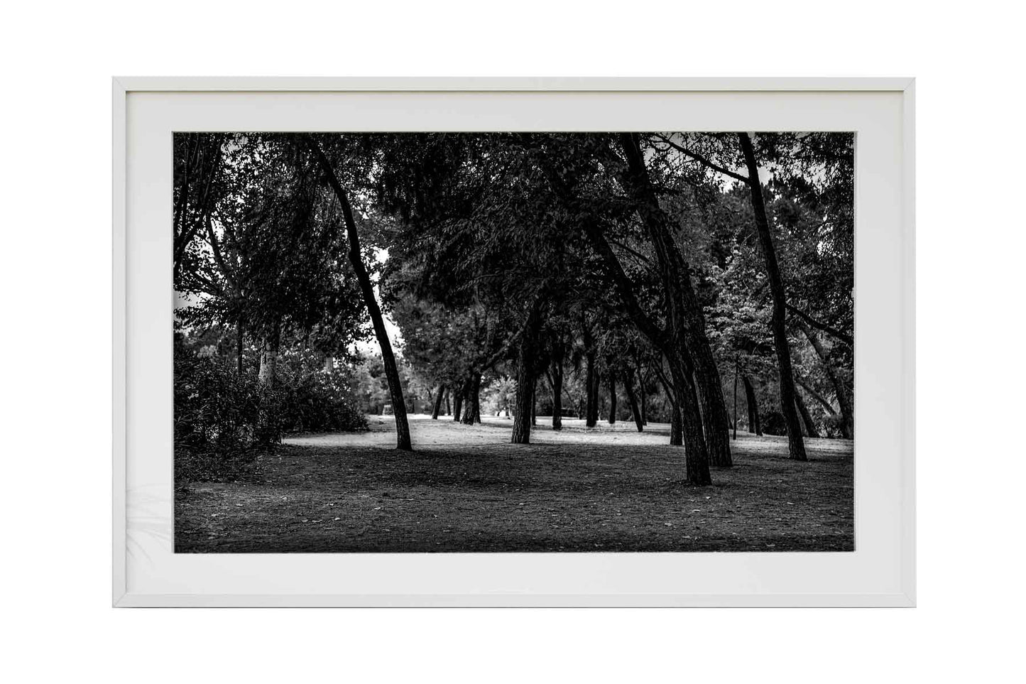 Madrid - Parque del Lago