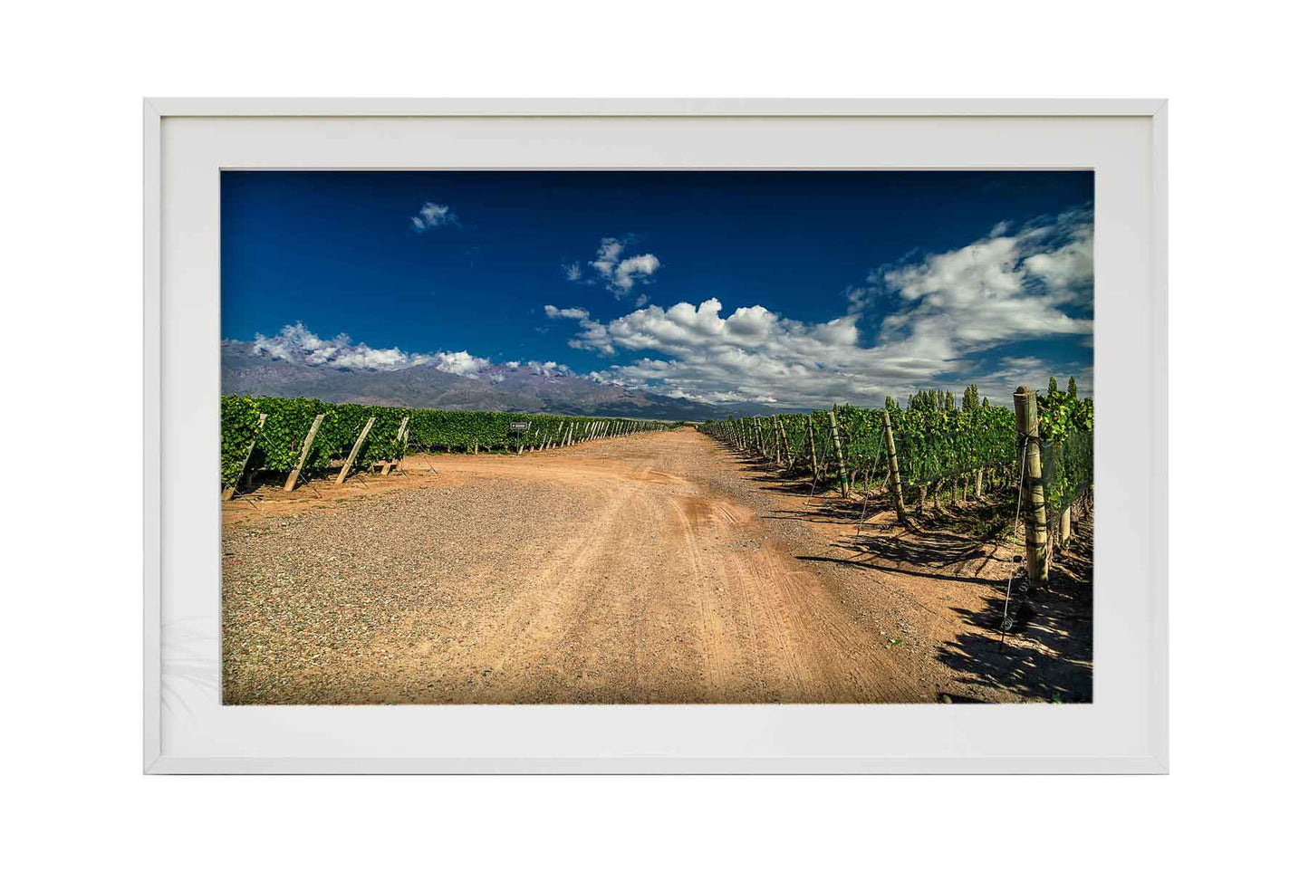 Vinicolas - Familia Zuccardi