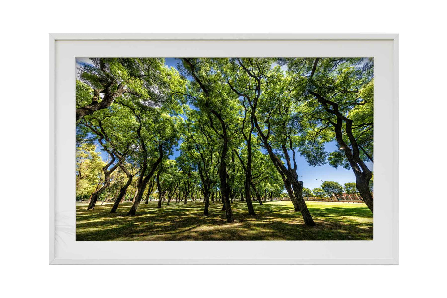 Buenos Aires - Lago de Regatas