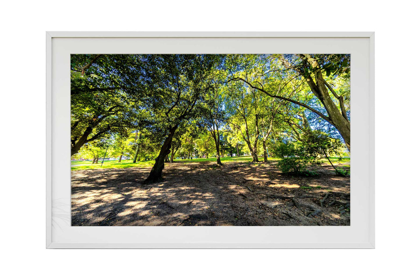 Montevidéu - Parque Jose Batle y Ordonez