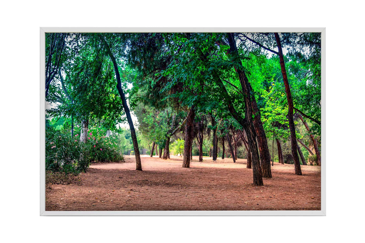 Madrid - Parque El retiro 01