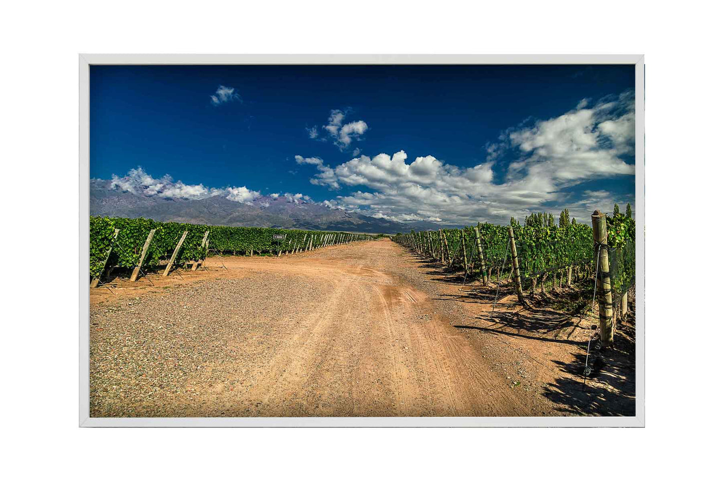 Vinicolas - Familia Zuccardi