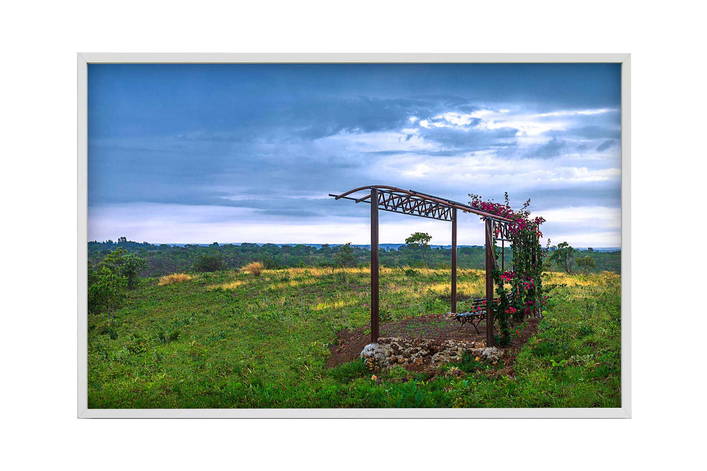 Cerrado 02