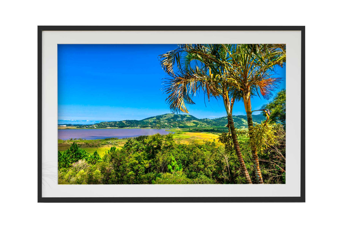 Santa Catarina 02
