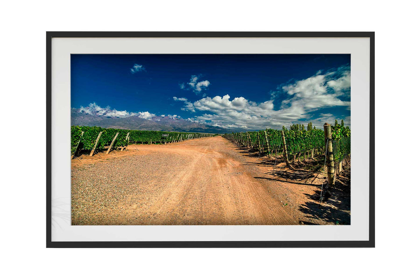 Vinicolas - Familia Zuccardi