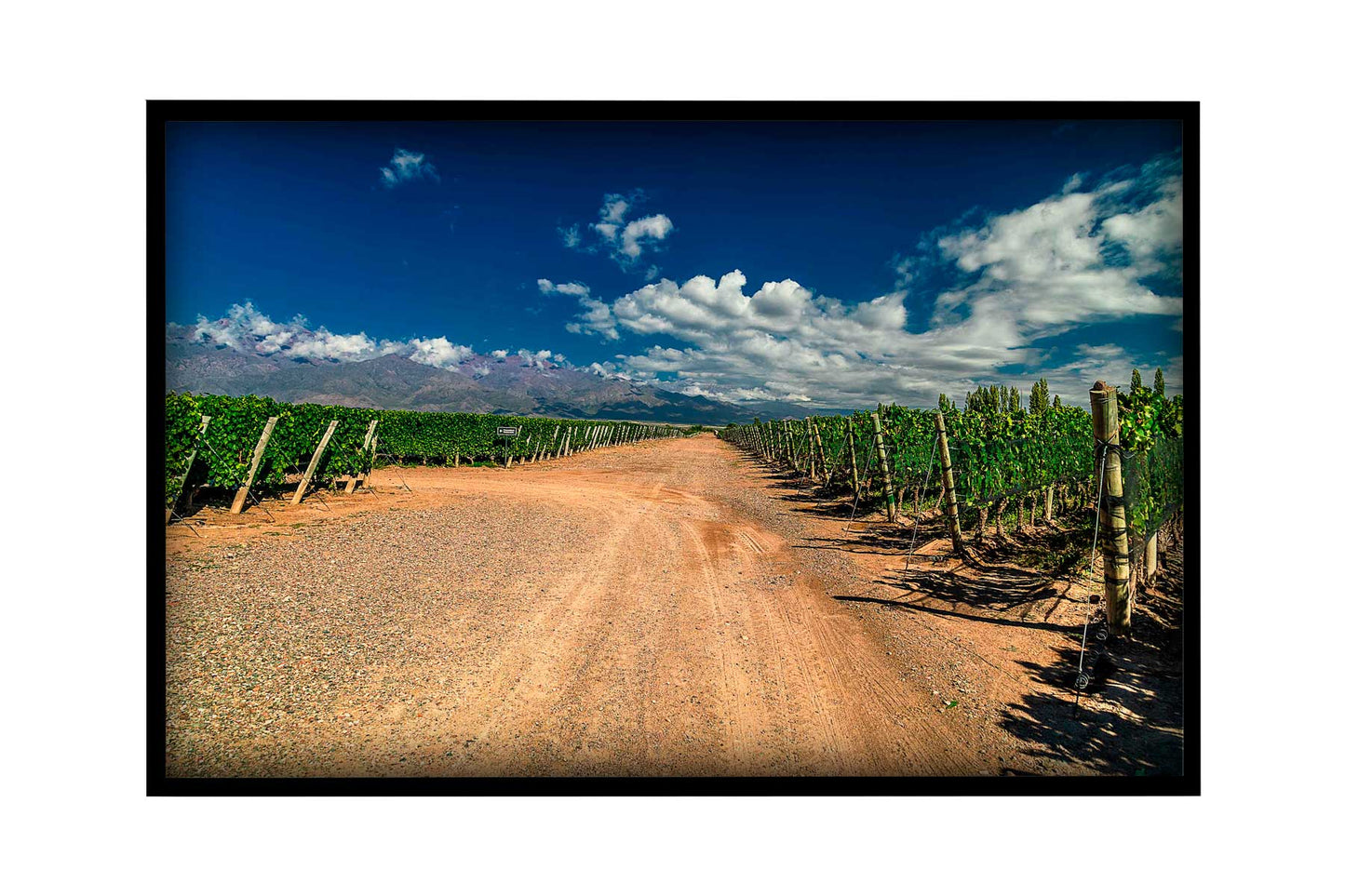 Vinicolas - Familia Zuccardi