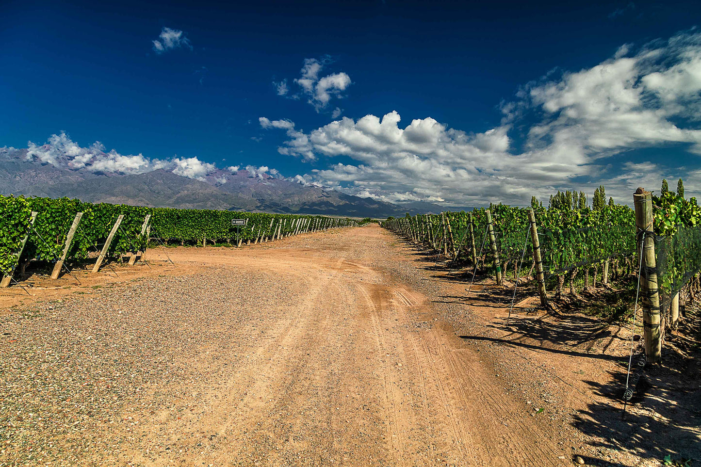 Vinicolas - Familia Zuccardi