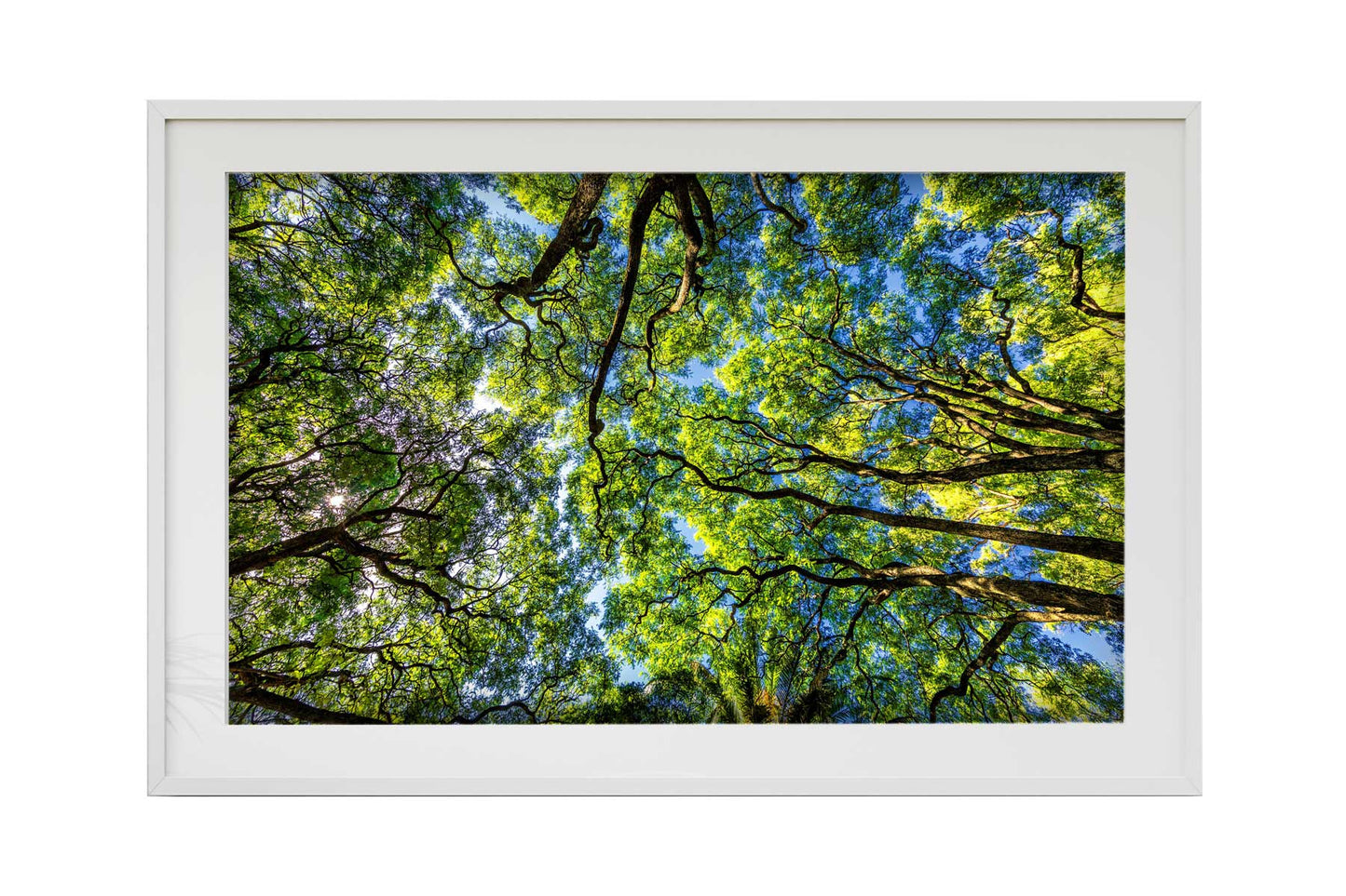 Montevidéu - Parque Rodo