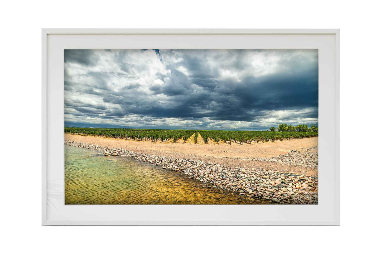 Vinicolas - Bodega Alfa Cux 1