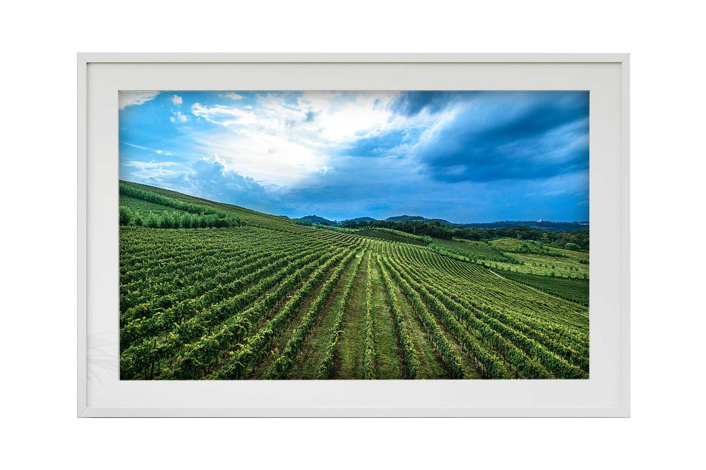 Vinicolas - Spa do Vinho