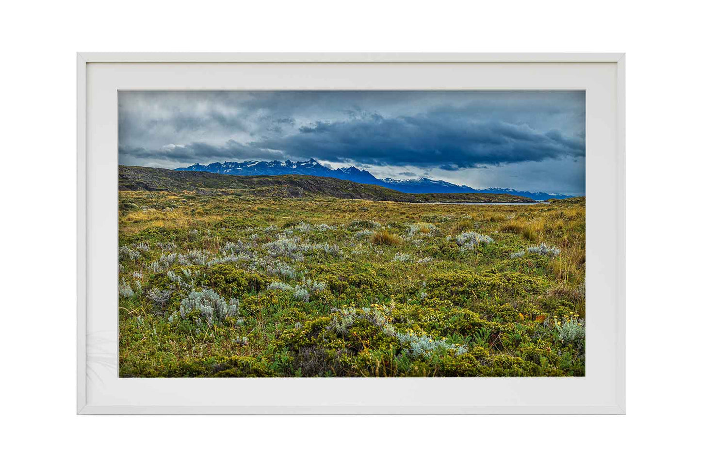 Canal de Beagle - Isla Bridges 1