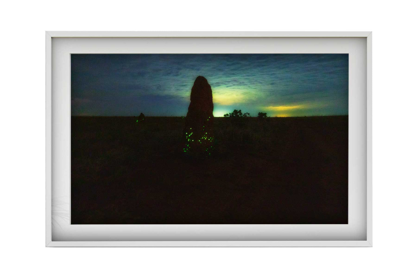 Cupinzeiros Bioluminescentes 4