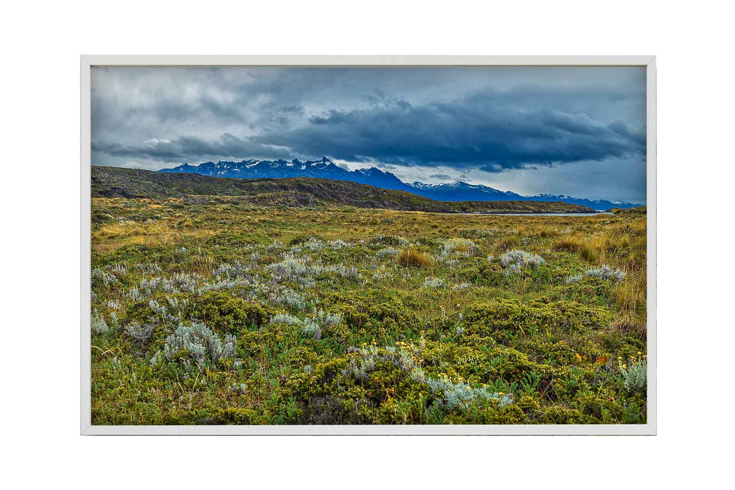 Canal de Beagle - Isla Bridges 1