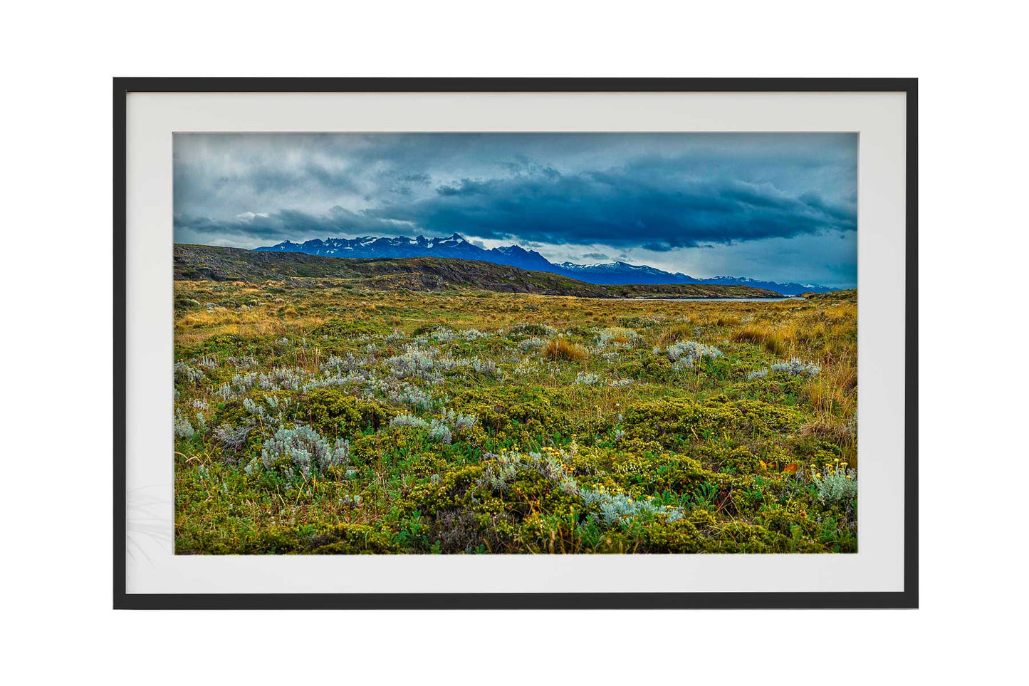 Canal de Beagle - Isla Bridges 1