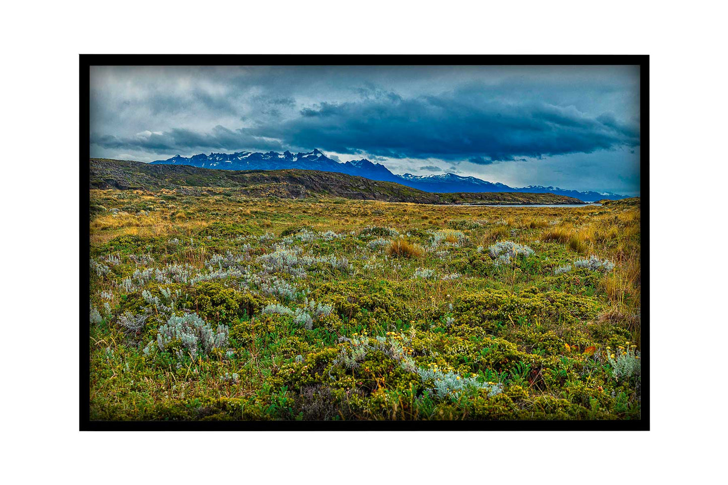 Canal de Beagle - Isla Bridges 1