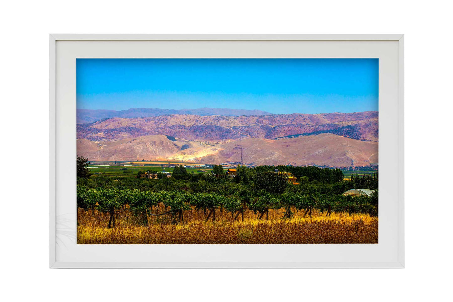 Libano - Zahle