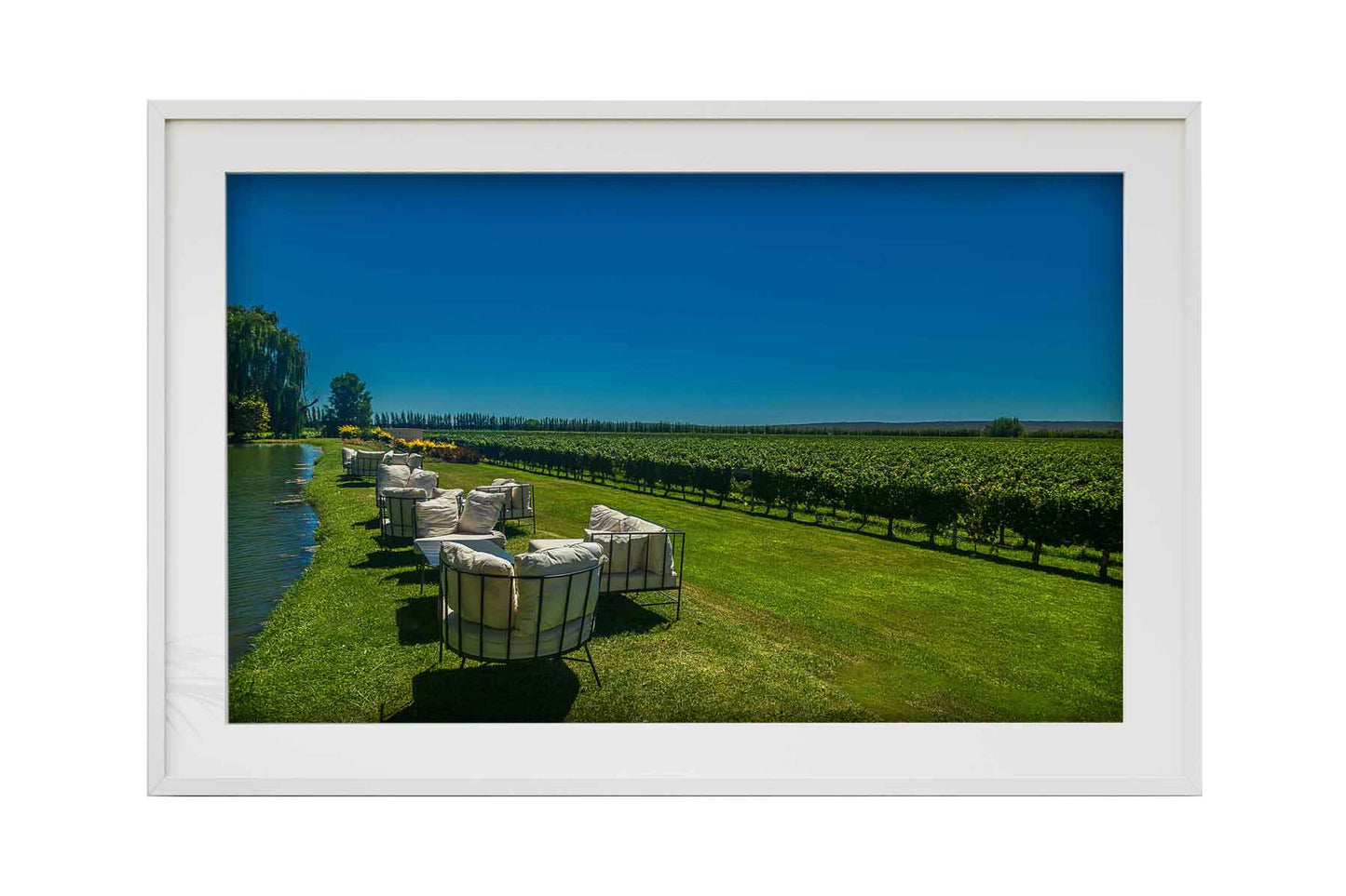 Vinicolas - Bodega Piattelli