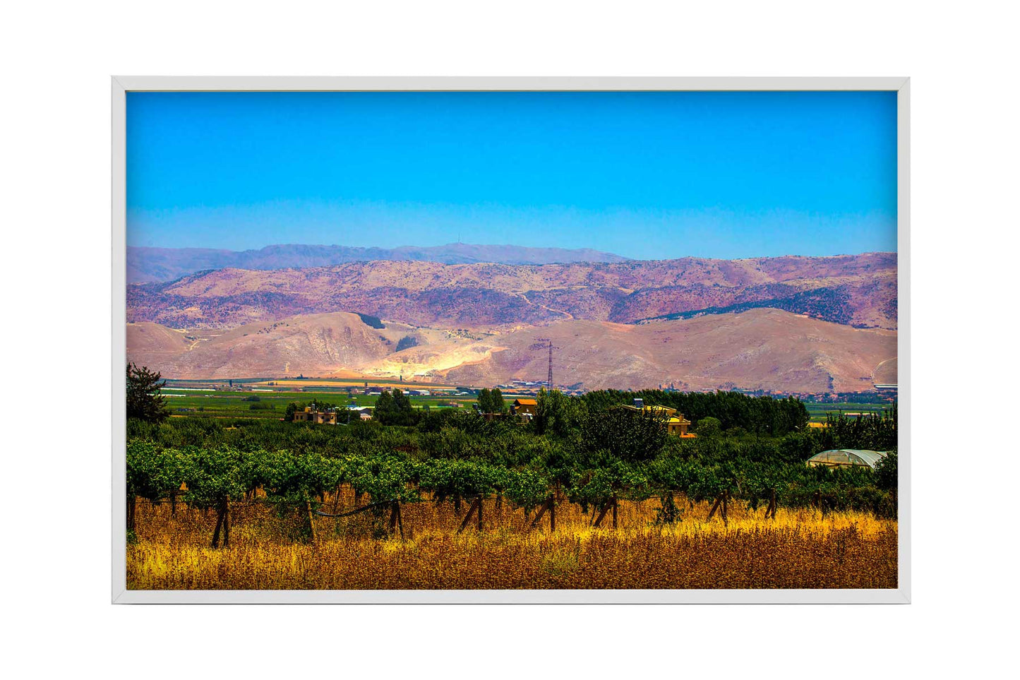 Libano - Zahle