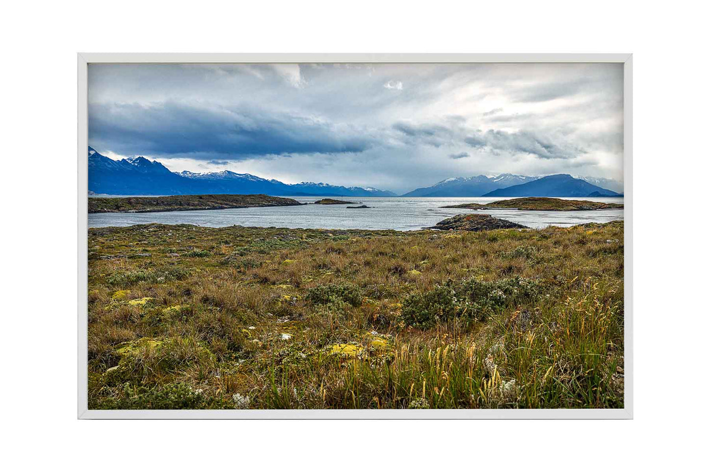 Canal de Beagle - Isla Bridges 2