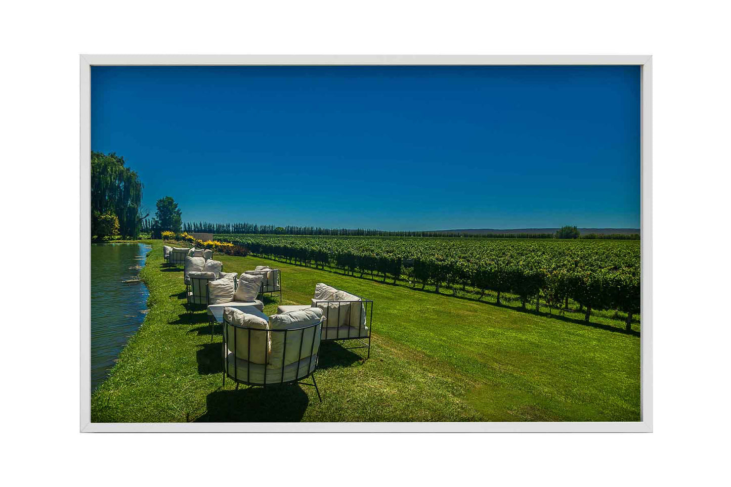 Vinicolas - Bodega Piattelli