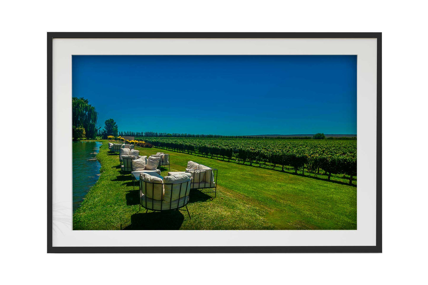 Vinicolas - Bodega Piattelli