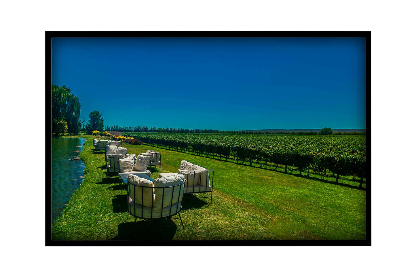 Vinicolas - Bodega Piattelli