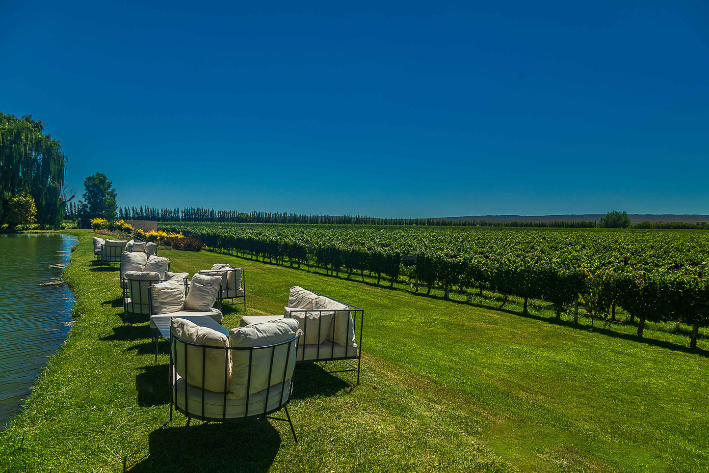 Vinicolas - Bodega Piattelli