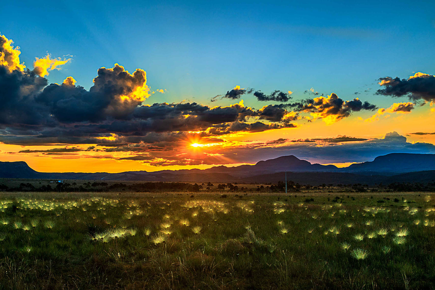 Chapada dos Veadeiros - Campo do Chuveirinho 01
