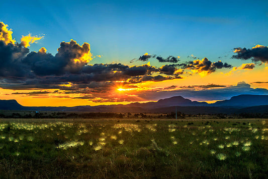 Chapada dos Veadeiros - Campo do Chuveirinho 01