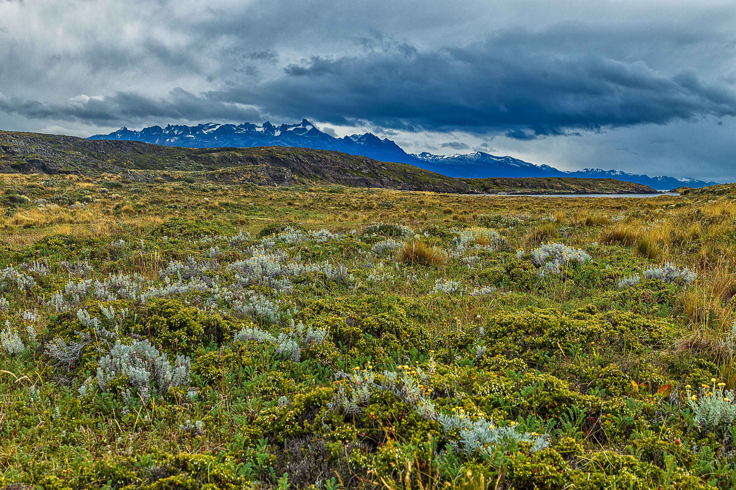 Canal de Beagle - Isla Bridges 1
