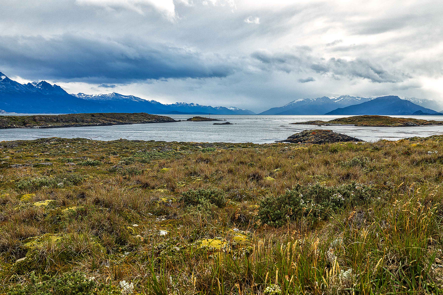 Canal de Beagle - Isla Bridges 2