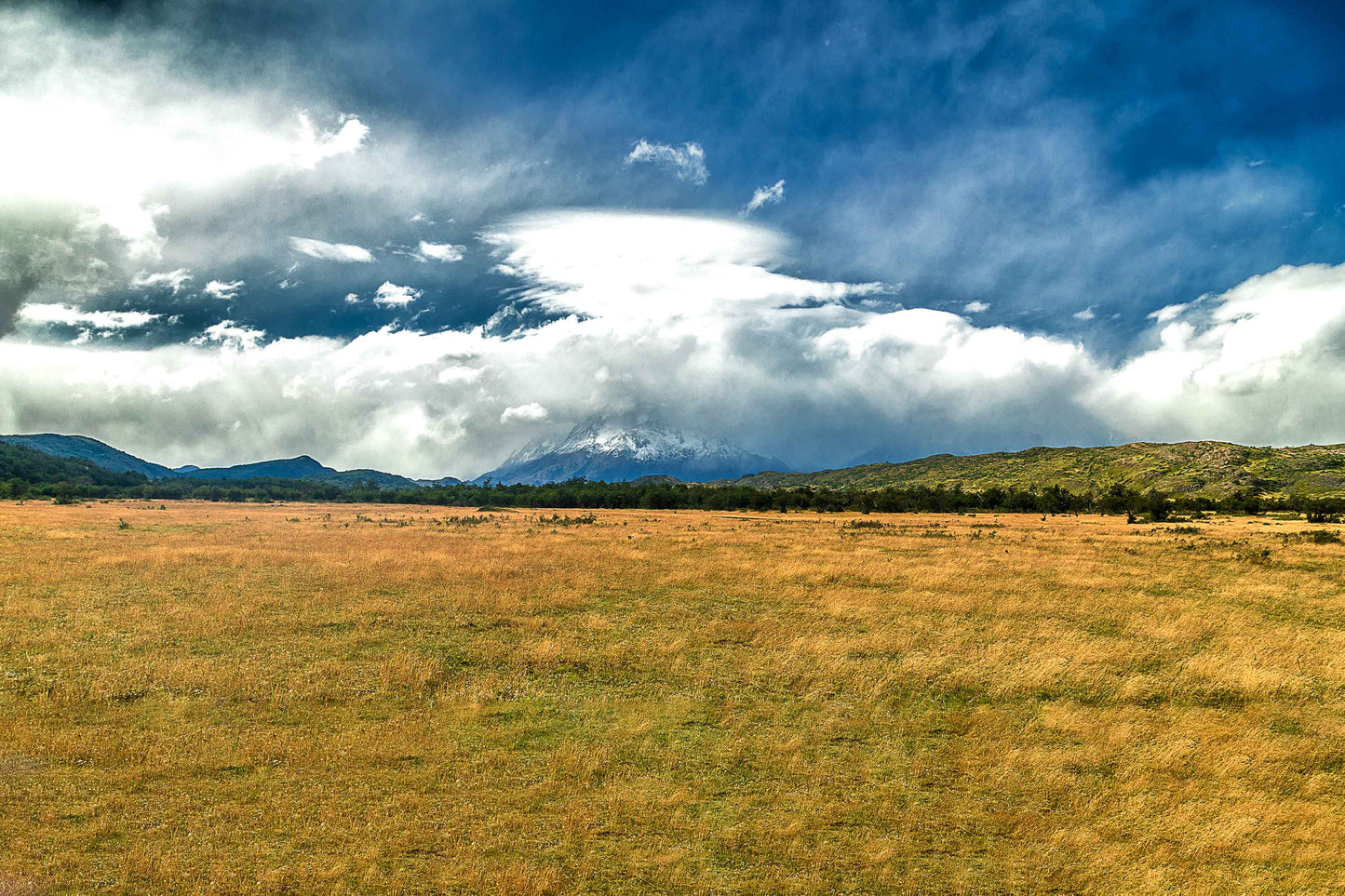 Torres del Paine - Margem Rio Grey
