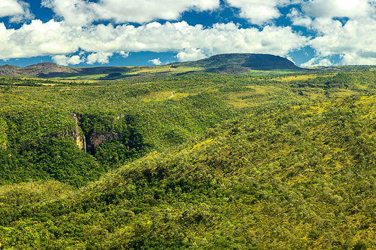 Chapada dos Veadeiros - Monte Vidinho