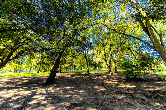 Montevidéu - Parque Jose Batle y Ordonez