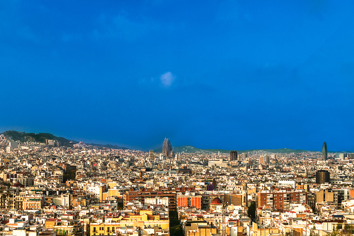 Barcelona Panorâmica - Sagrada Familia