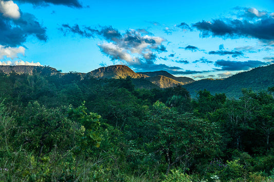 Chapada dos Veadeiros - Sayama