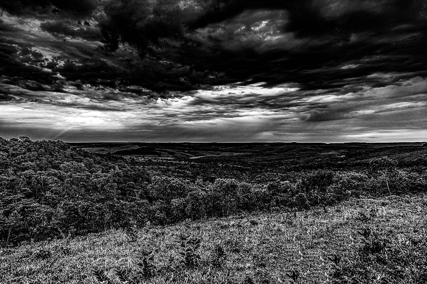 Cerrado 01