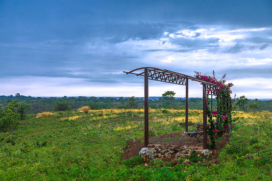 Cerrado 02