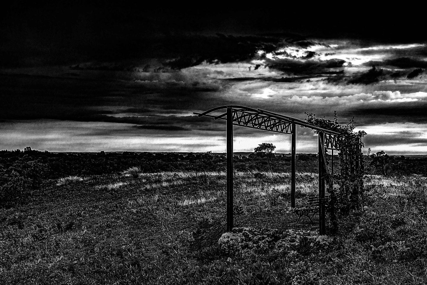 Cerrado 02