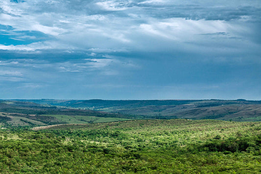 Cerrado 03