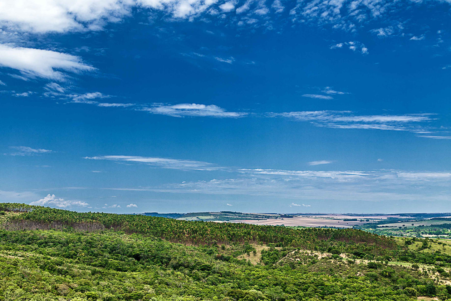 Cerrado 04