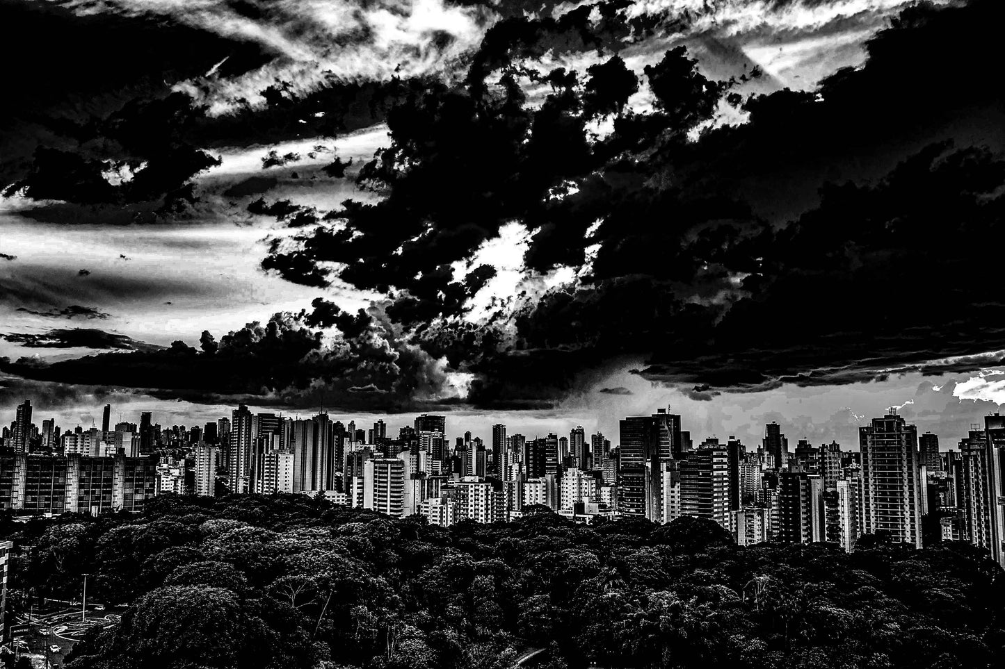Goiânia - Bosque dos Buritis 01