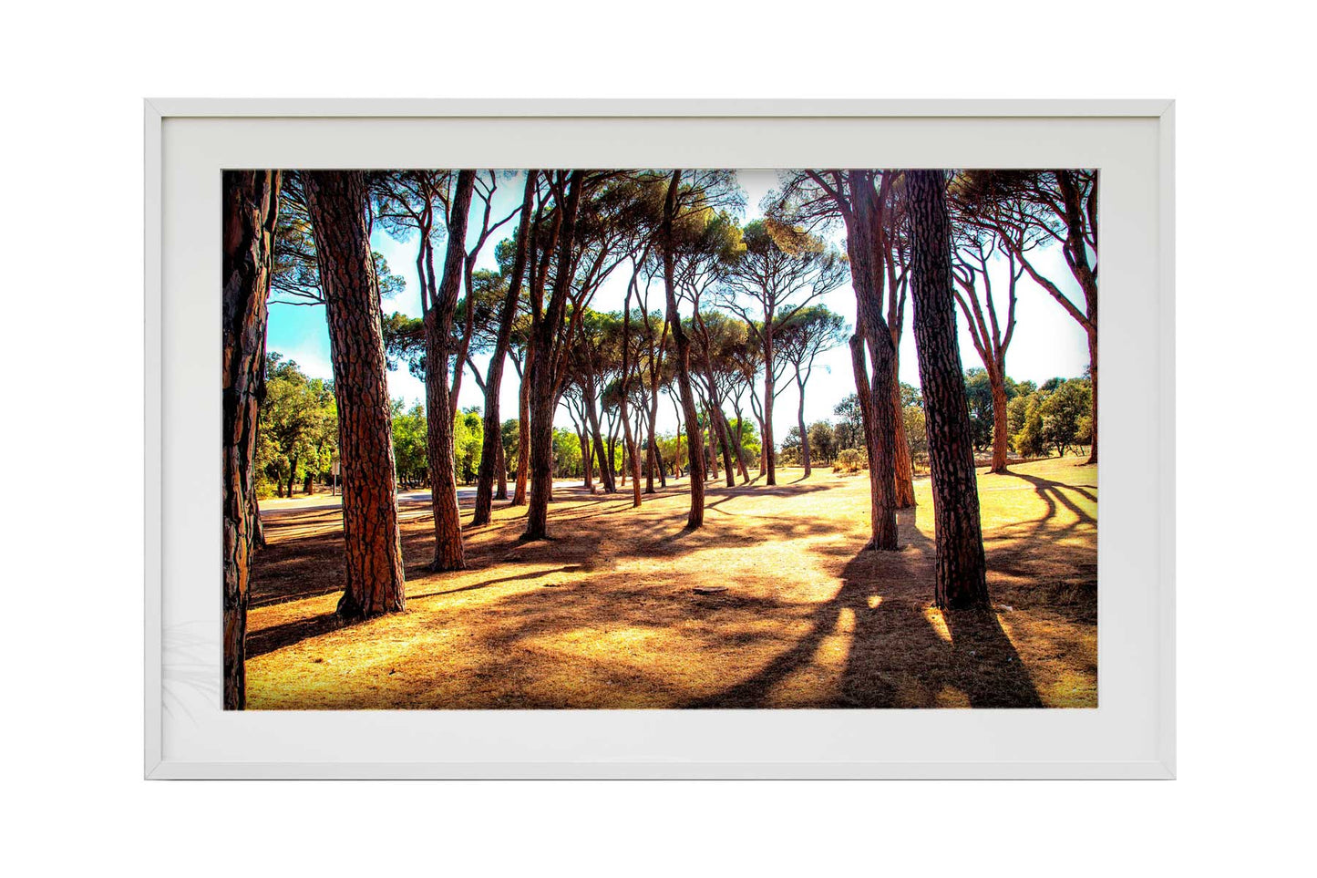 Madrid - Casa de Campo