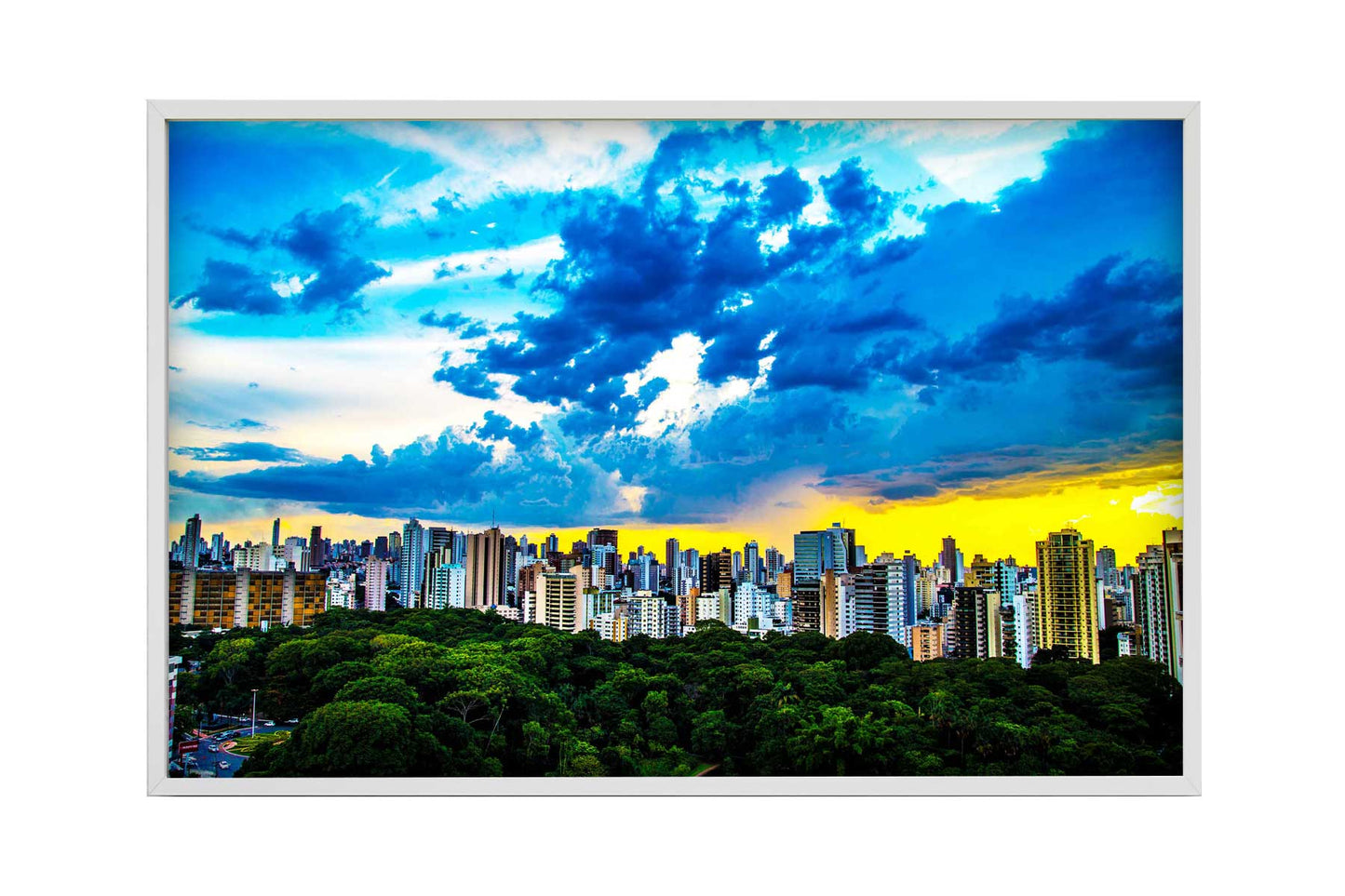 Goiania - Bosque dos Buritis 01